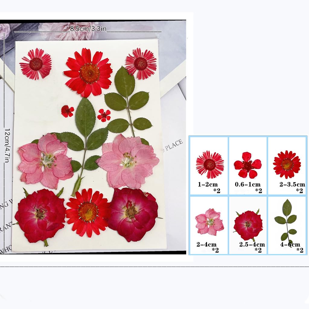 72 Piezas Flores Secas Naturales Mixtas Flores Secas Prensadas Kit de Hojas Secas Hierbas Naturales para Resina Álbumes de Recortes DIY Regalo Scrapbooking Joyas Uña Pendientes Arte