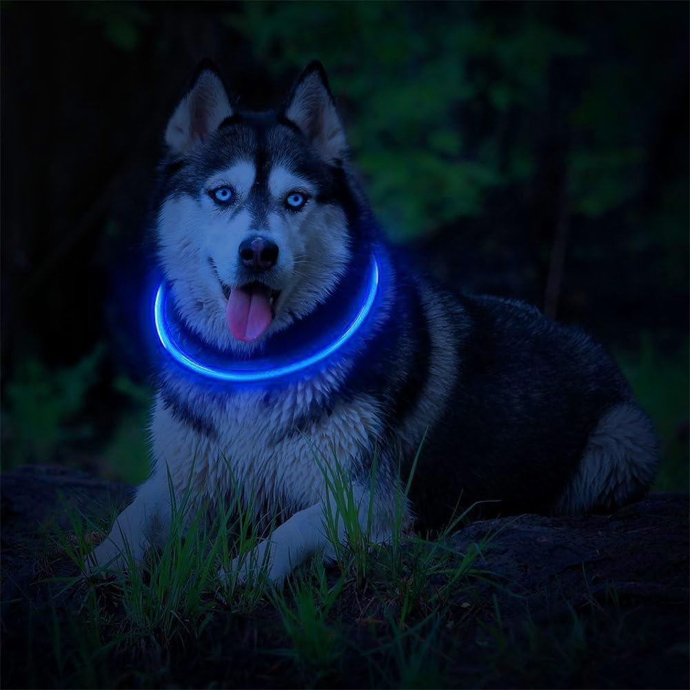 Zmal LED Pet Dog Collar Lights–USB Rechargeable Loop,Adjustable Glowing Safety Water Resistant Flashing Collar (Medium, Bule)