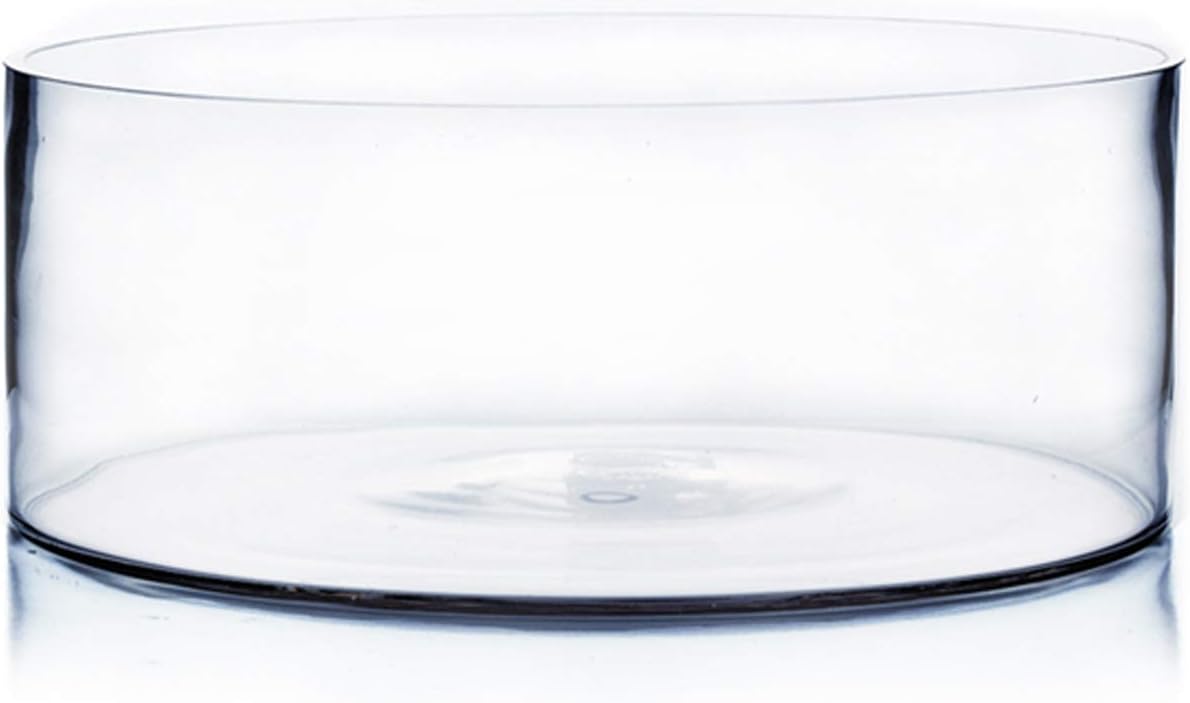 WGV Cylinder Vase, Open Width 10", Height 4", Clear Flat Pan Style Container, Planter Terrarium, Floral Centerpiece for Wedding Party Event, Home Office Decor, 1 Piece