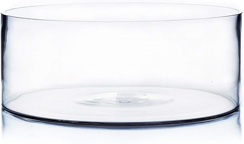 Vista 13 de WGV - Jarrón cilíndrico, ancho abierto de 8 pulgadas, altura de 4 pulgadas, recipiente transparente estilo sartén plana, terrario para maceta