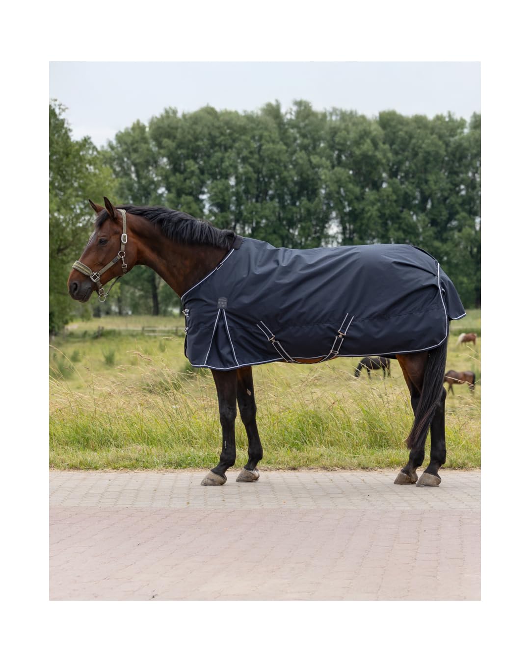 4Horses Outdoordecke Kalmar 100g für Pferde, wasserdichte Winterdecke mit 100g Füllung, atmungsaktiv und robust, ideal für kalte Tage und Weide