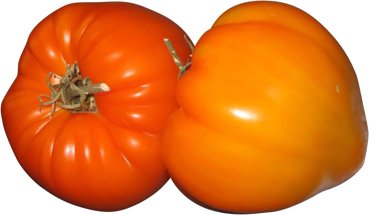 Orange Erdbeertomate 10 Samen Rarität aus Deutschland Amazon.de Garten