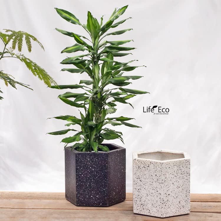 ゾアシリンダー【10号用】鉢カバー　グレー/ブラック/ホワイト ゾアシリンダー【10号用】鉢カバー グレー/ブラック/ホワイト ゾア