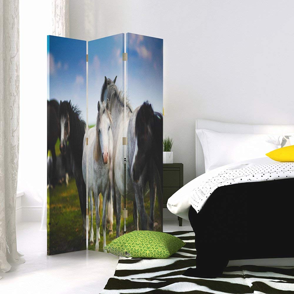 Feeby Paravent 3 pans Chevaux 110x150 cm Une Seule Côté Cloison de séparation Écran Pliant Foto Paravent Interieur Décoratif Mur Espagnol Impression sur Toile Chambre d'enfant Salon Bureau Noir