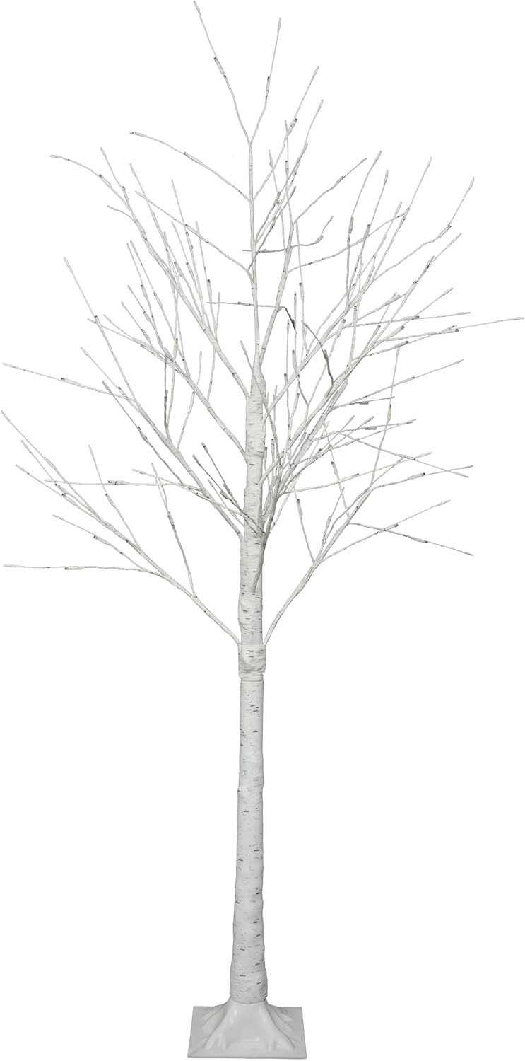 フィカス ウンベラータ 8号 S-shaped tree form145cm フィカス