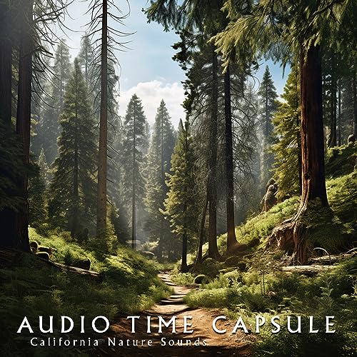 Audio Time Capsule
