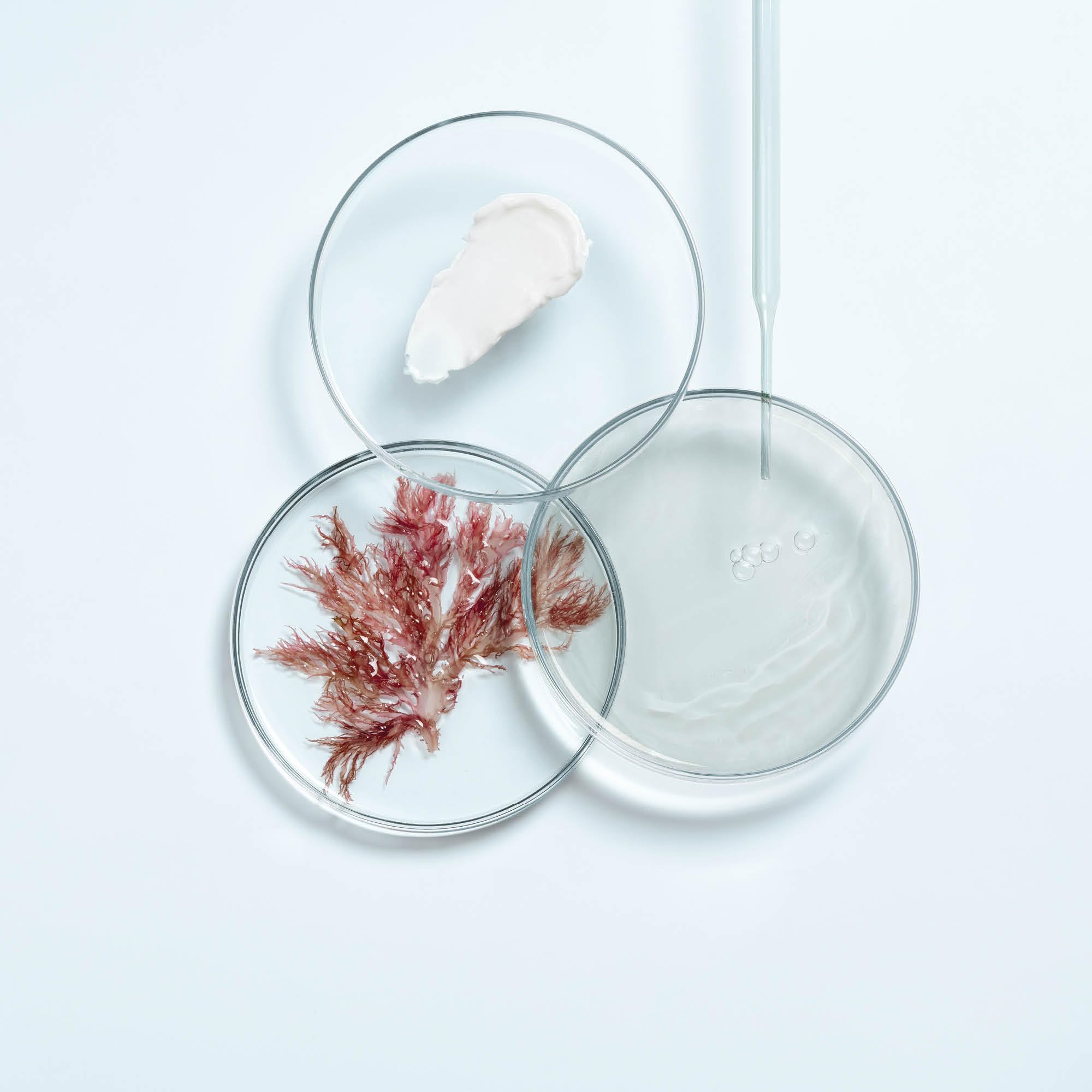 THALGO Cica Marin Beruhigende Creme 50 ml – SOS-Gesichtspflege bei Rötungen & Irritationen – Stärkt die Hautbarriere mit marinen Präbiotika – Intensive Feuchtigkeitspflege für empfindliche Haut
