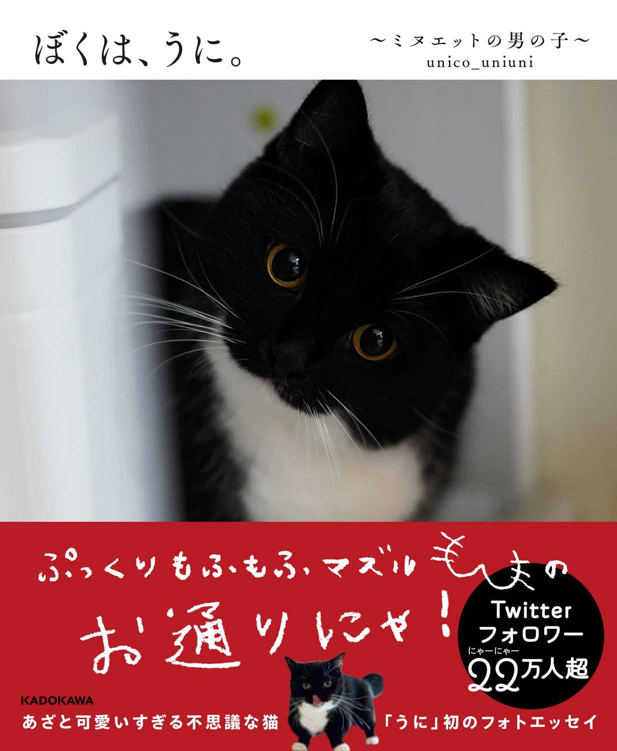 ぼくは うに ミヌエットの男の子 Unico Uniuni 本 通販 Amazon