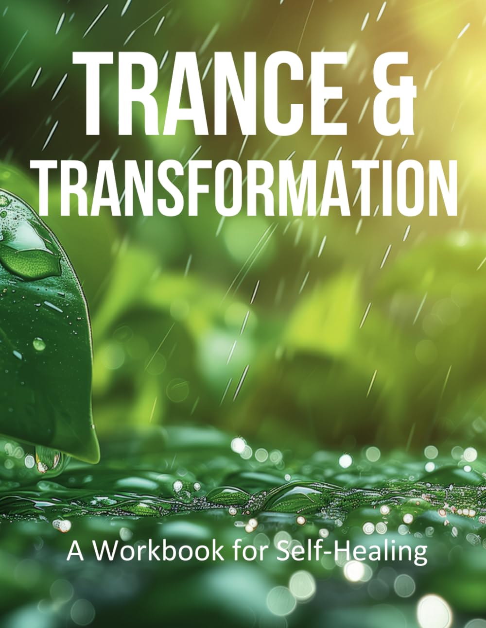 Trance and Transformation.: A Practical Guide to Hypnotherapy and Meditation.