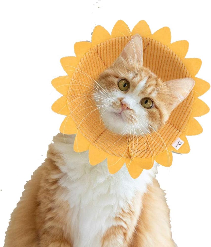 Dogs Recovery Collar Dog Cone Cat Cone, Pet Protective Collar,Adjustable Elizabethan Cat Cone Collar Dog Neck Collar After Surgery E-Collar,Soft Edges,Anti-Bite/Lick for Cat, Dog, Rabbit