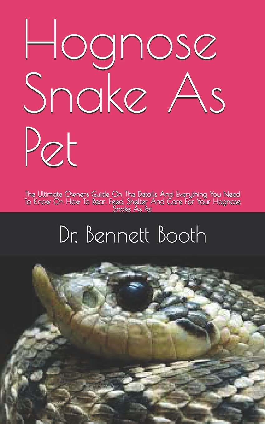 Picture of Pet Snakes 101: Caring and Feeding Your Slithery Companion