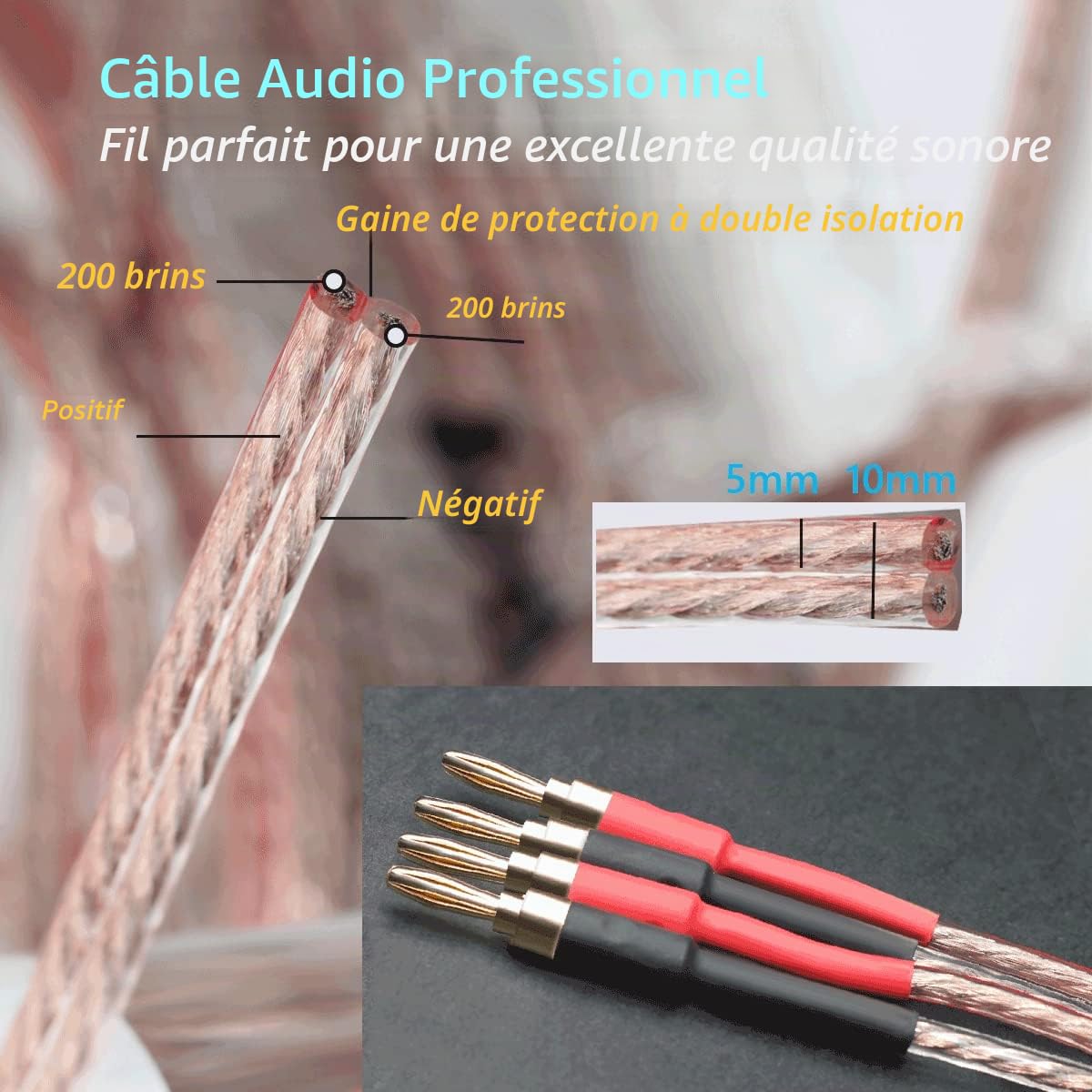 Lot de 2 câbles d'enceinte de qualité audiophile 13 AWG avec double embouts banane pré-connectés plaqués or, fiche banane mâle vers mâle (4 m)