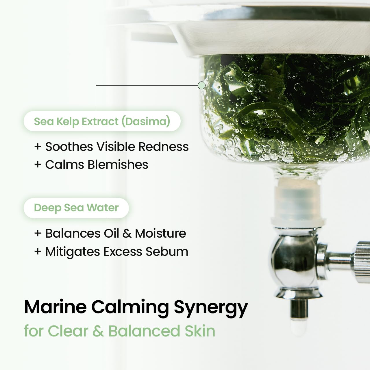 BIODANCE Bio-Collagen Real Deep Mask, Hydrating Overnight Hydrogel Face Mask, Pore Minimizing, Elasticity, Plumping, Travel Essentials & Self Care Gifts for Women, Korean Skin Care | 1.19oz(34g) x 4ea: Sea Kelp 4 Count (Pack of 1)