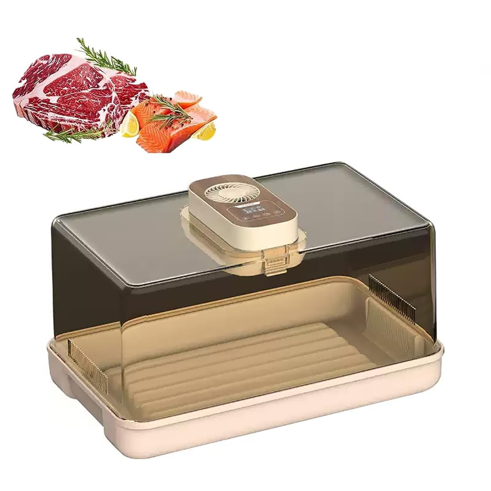 Scongelatore elettrico da 100 W per carne surgelata, grande capacità di 19 l, con timer, velocità della ventola e controllo della temperatura per bistecche, pollo e scongelamento dei frutti di mare