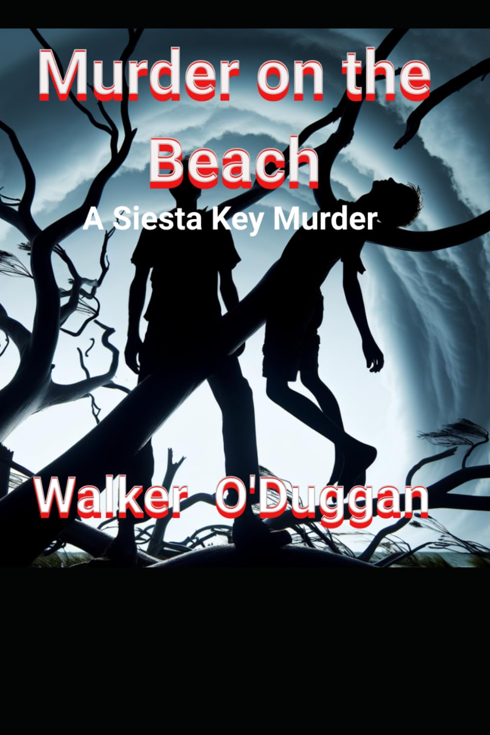 Murder on the Beach: A Siesta Key Murder