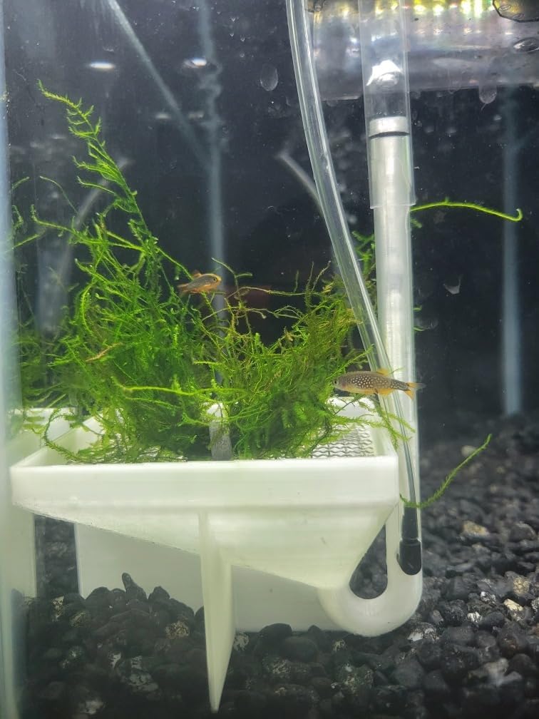 Hatchery Box Accessories for Fluval | Fish Egg Collector | Suitable for Egg-Laying Fish breeding | Bottom Grid Design | Can be Used with Sphagnum Moss | Viewing Window