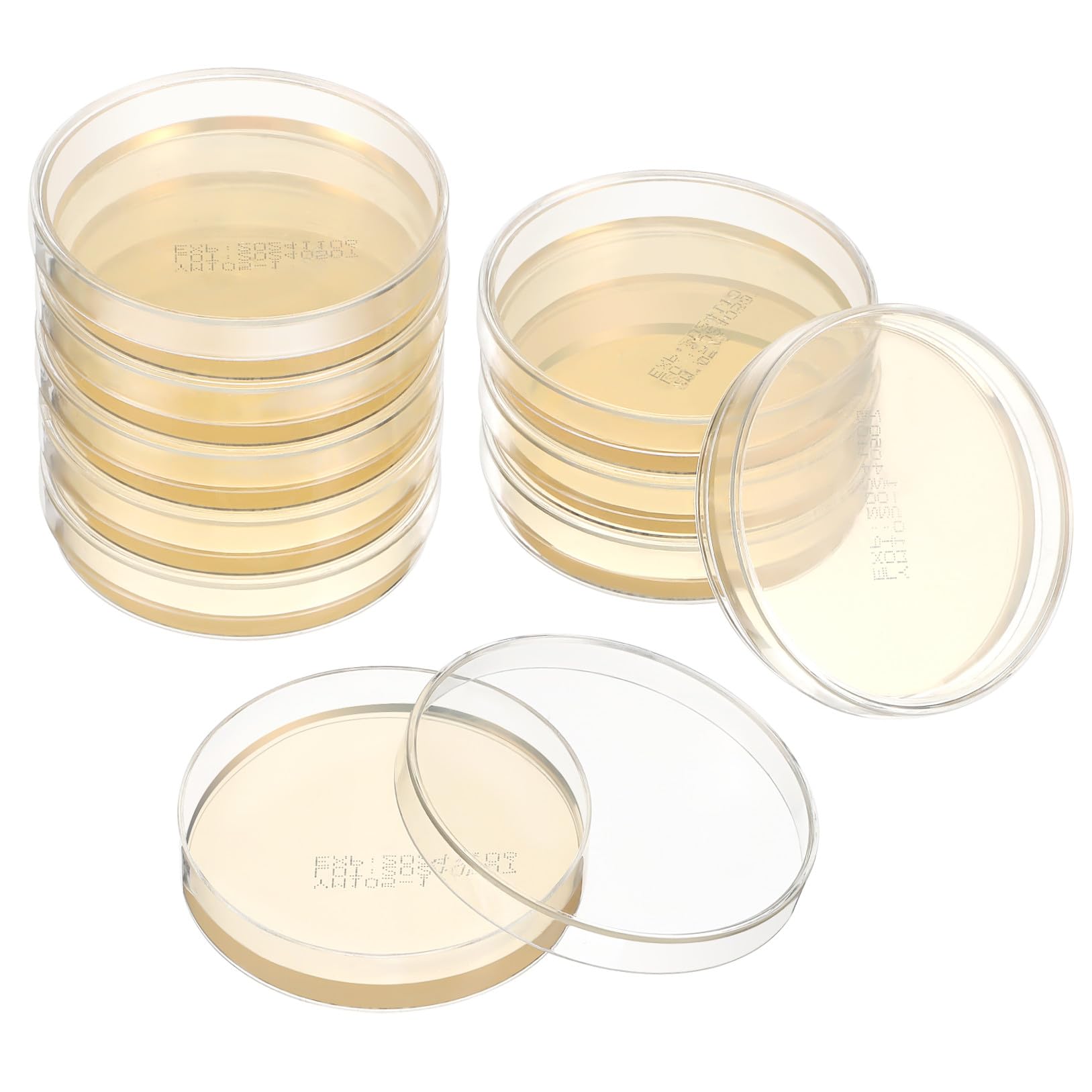 CLISPEED 10Piezas Placas de Petri de Agar Nutritivo Kit Científico de Unidades Experimentos de Microbiología Laboratorio y Clases de Ciencias