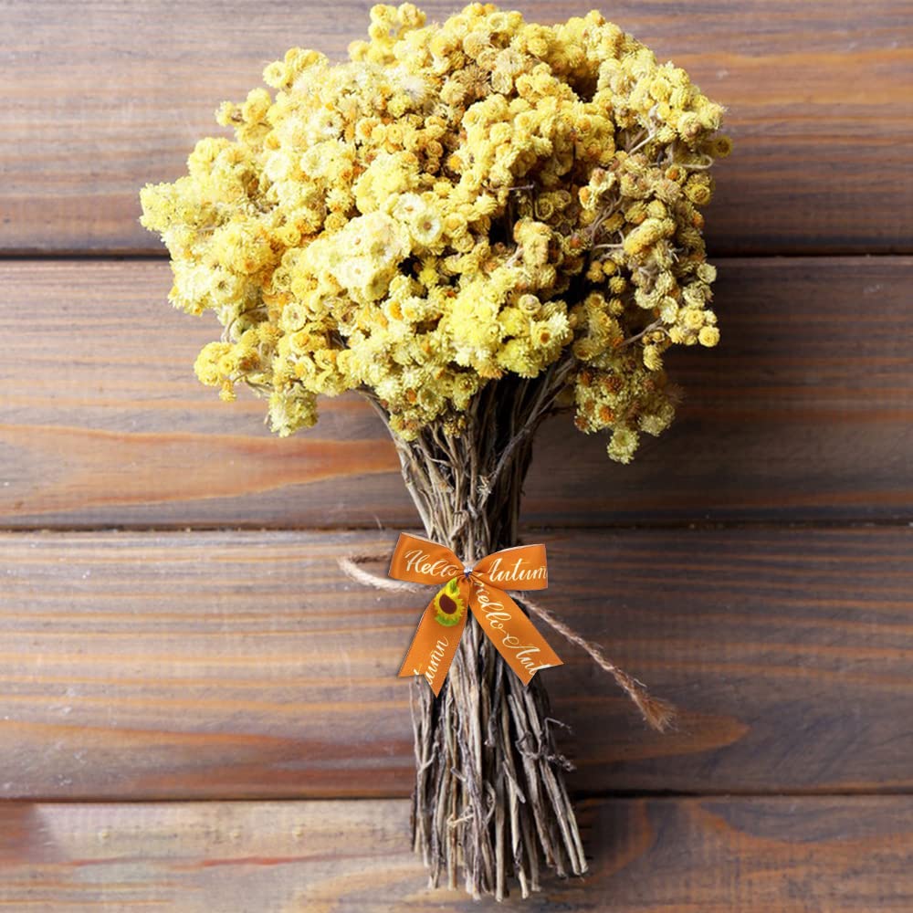 Lot de rubans d'automne | 28 rubans d'artisanat d'automne