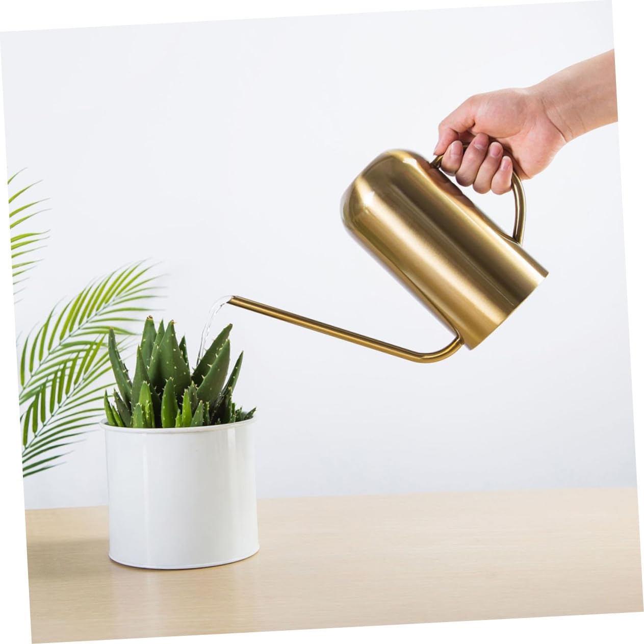 BESTonZON Arrosoir à Long Bec Acier Inoxydable Outil de Jardinage pour Ménage et Jardin Verseur Fluide et Stable