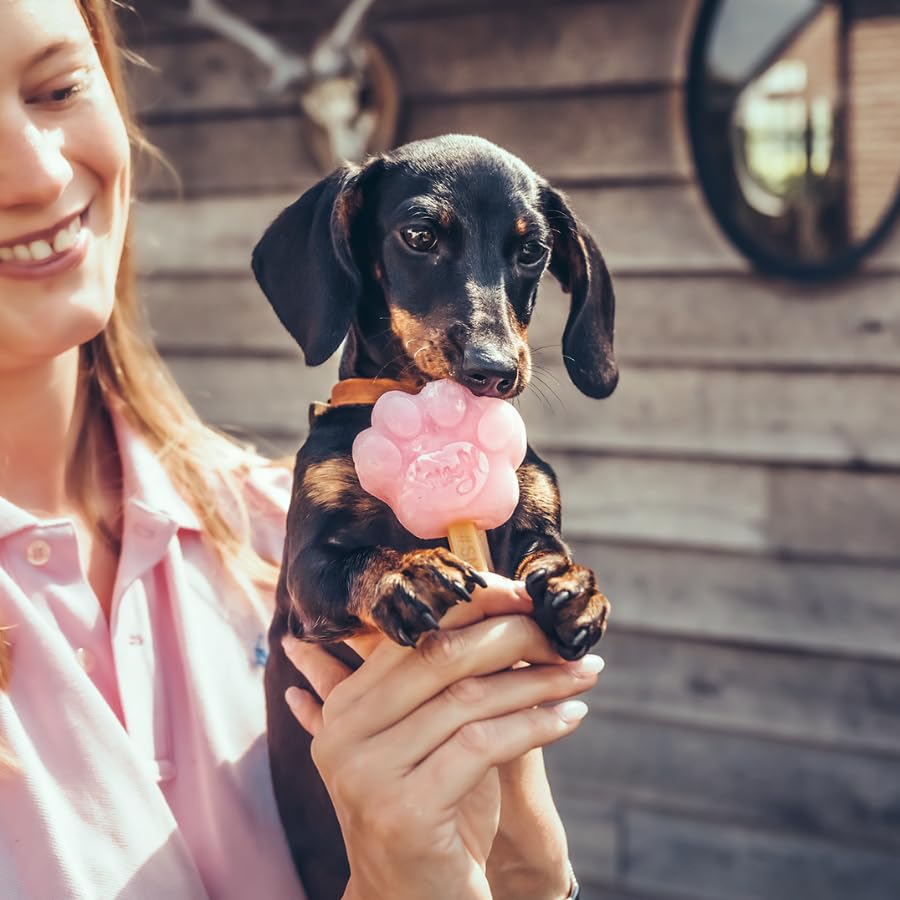 Smoofl Puppy Hundeeis XS Kit - Welpen Hundesnacks: EIS Fuer Puppy mit essbarem Stiel und Eisformen zum Selbermachen als Snack und gesunde Hundeleckerli mit erfrischender Wirkung, Erdbeer & Banane