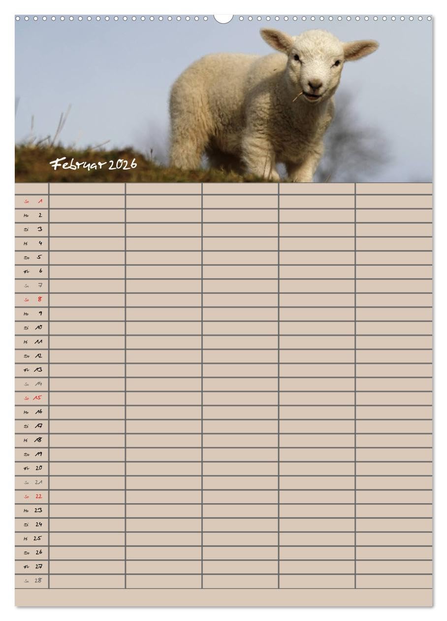 Der belämmerte Familienplaner (hochwertiger Premium Wandkalender 2026 DIN A2 hoch), Kunstdruck in Hochglanz