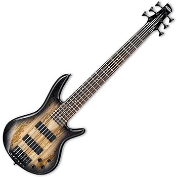 Amazon.com: Ibanez GSR206SM-NGT GIO SR Series Electric Bass