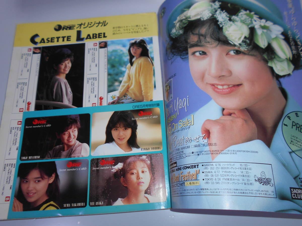 南野陽子 ポスター DELUXEマガジンORE付録BIGポスター/52×75cm程度