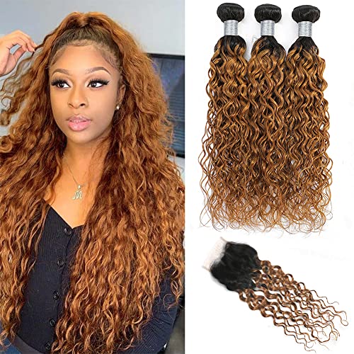 Dream Diana Ombre Bundles With Closure Water Wave 9A grade Colored Malaysia Human Hair Weave 100% Virgin 3 and 4x4 Lace T1B/30 Color(12 14 16+10 closure)