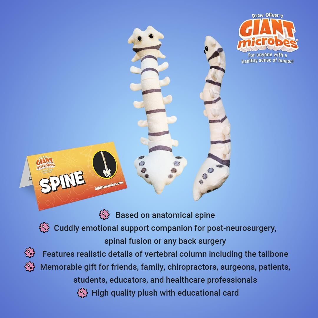 GIANTmicrobes Spine Plush, Spine Surgeon Gifts, Back Surgery Recovery Gifts, Lumbar Spine Model, Neurology Gifts, Funny Chiropractor Gifts, Neurosurgery Gifts, Neurosurgeon Gifts, Back Pain Gifts