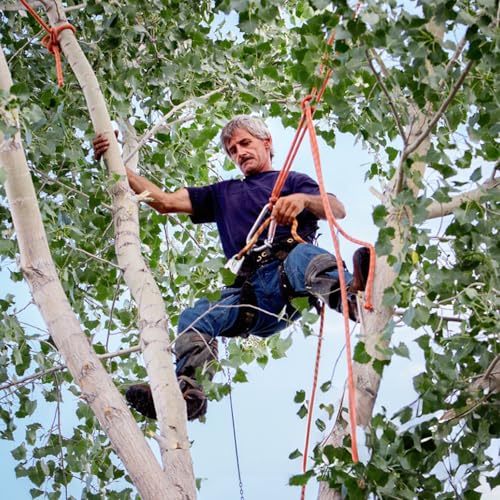 Image of Tree Climbing Gear, Tree Climbing Spikes, Tree Climbing Gear with Adjustable Climbing Straps and Steel Core Flip Line, Rock Climbing Kit with Triple Lock Lanyard Adjuster