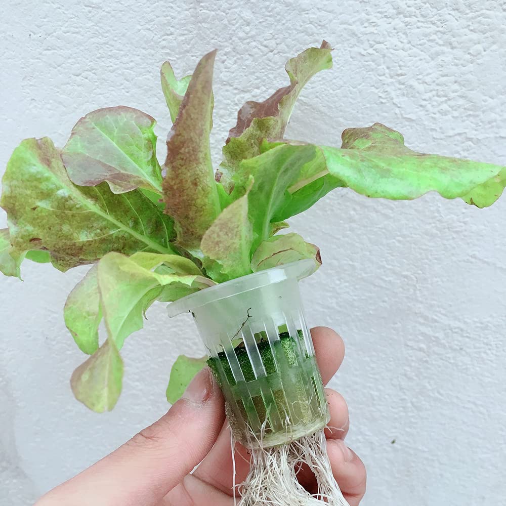 Juego de 72 herramientas de cultivo hidropónico para cultivo de interiores, herramientas de cultivo para vegetales, kit de clonación de plantas, vegetales, sistema de plantas hidropónicas