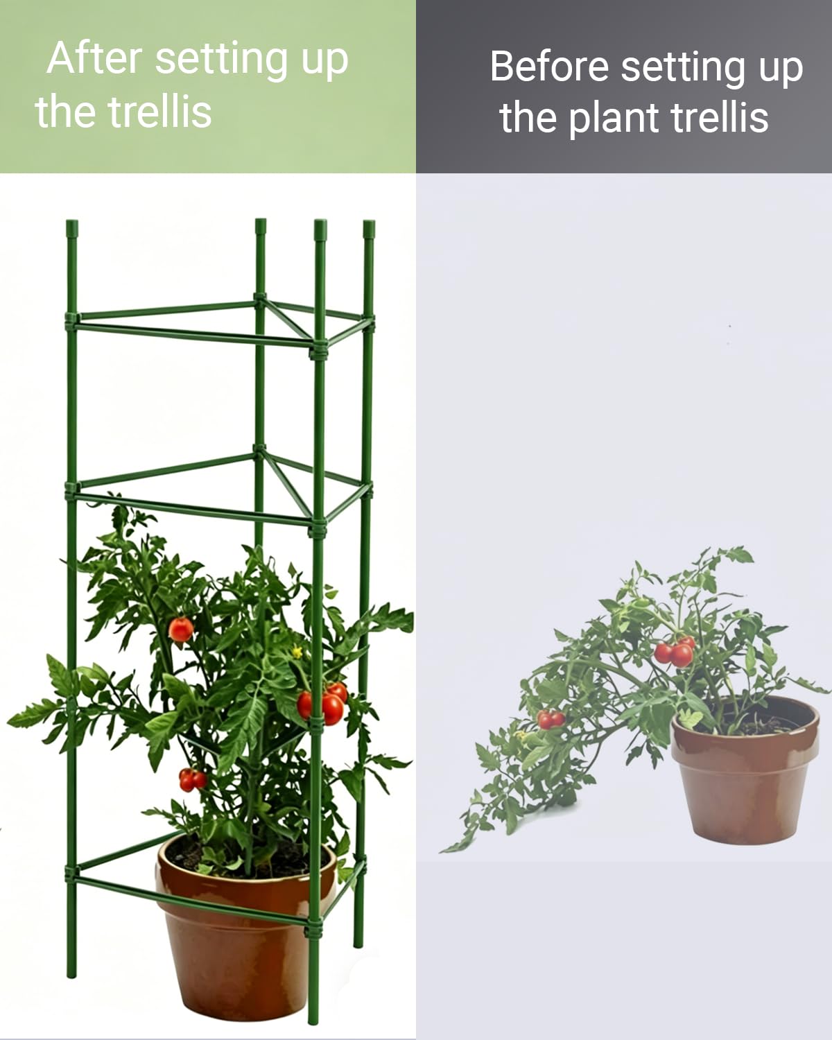 Lot de 100 bras en bois d'environ 30 cm de long et 2 boucles pour cages à tomates reliant des piquets de plantes d'un diamètre de 11 mm