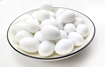 10 Pcs Plastic Eggs Pigeon Eggs Solid Fake Pigeon Egg Simulation of Solid Plastic Pigeon Eggs for Pigeon