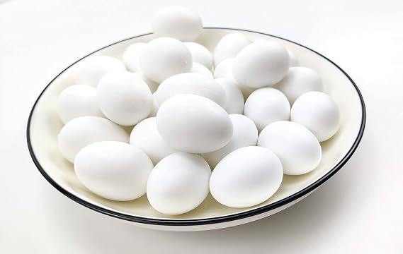 10 Pcs Plastic Eggs Pigeon Eggs Solid Fake Pigeon Egg Simulation of Solid Plastic Pigeon Eggs for Pigeon