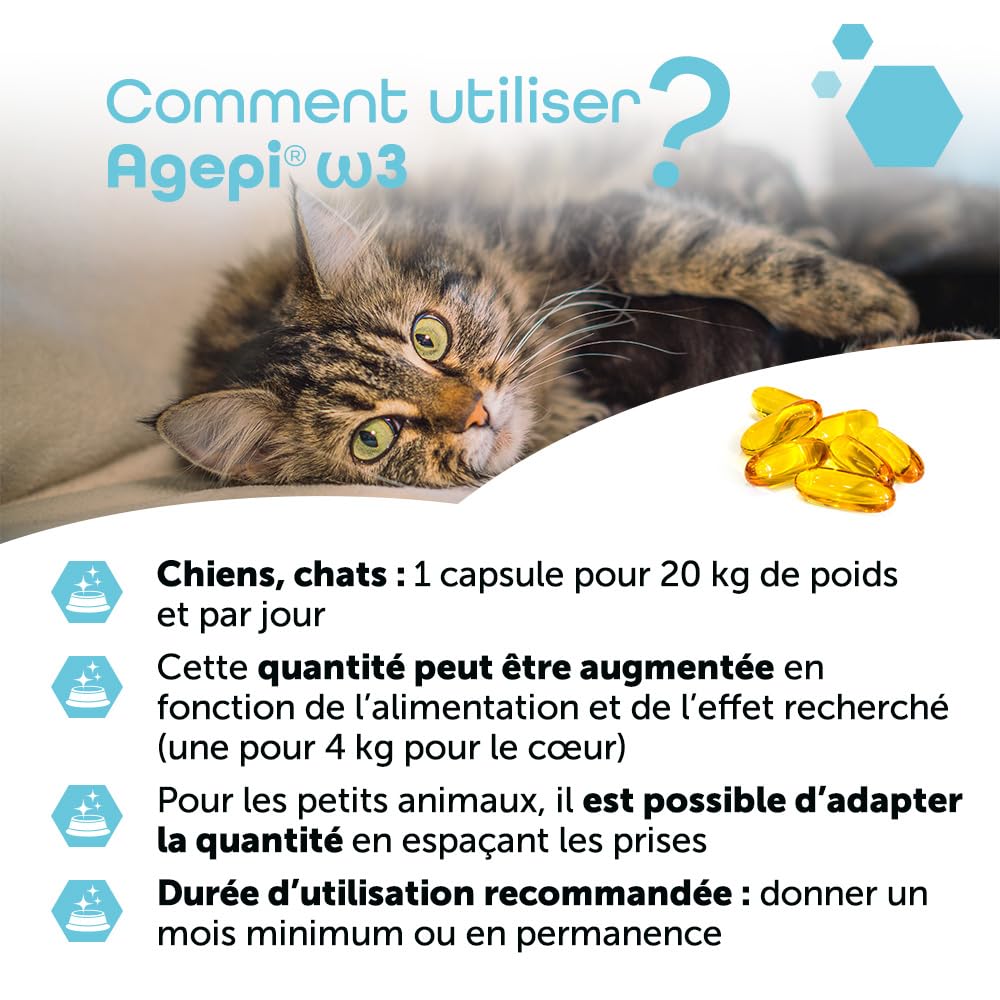 MP Labo Agepi® Omega 3 pour Chien et Chat - Riche en Acides Gras Essentiels (60 Capsules)