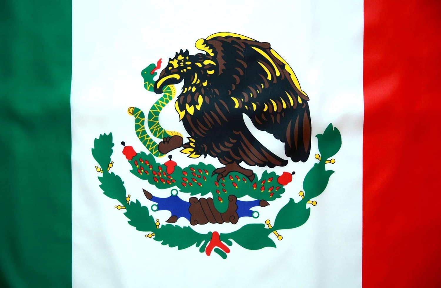 Paquete de 20 banderas de México