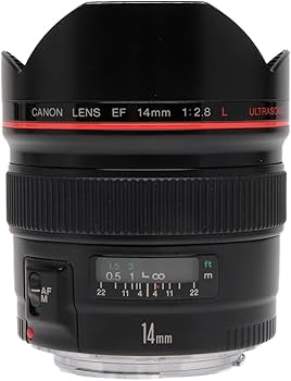 Canon EF 14mm f/2.8L USM Wide Angle Lens : Amazon.ca: Electronics