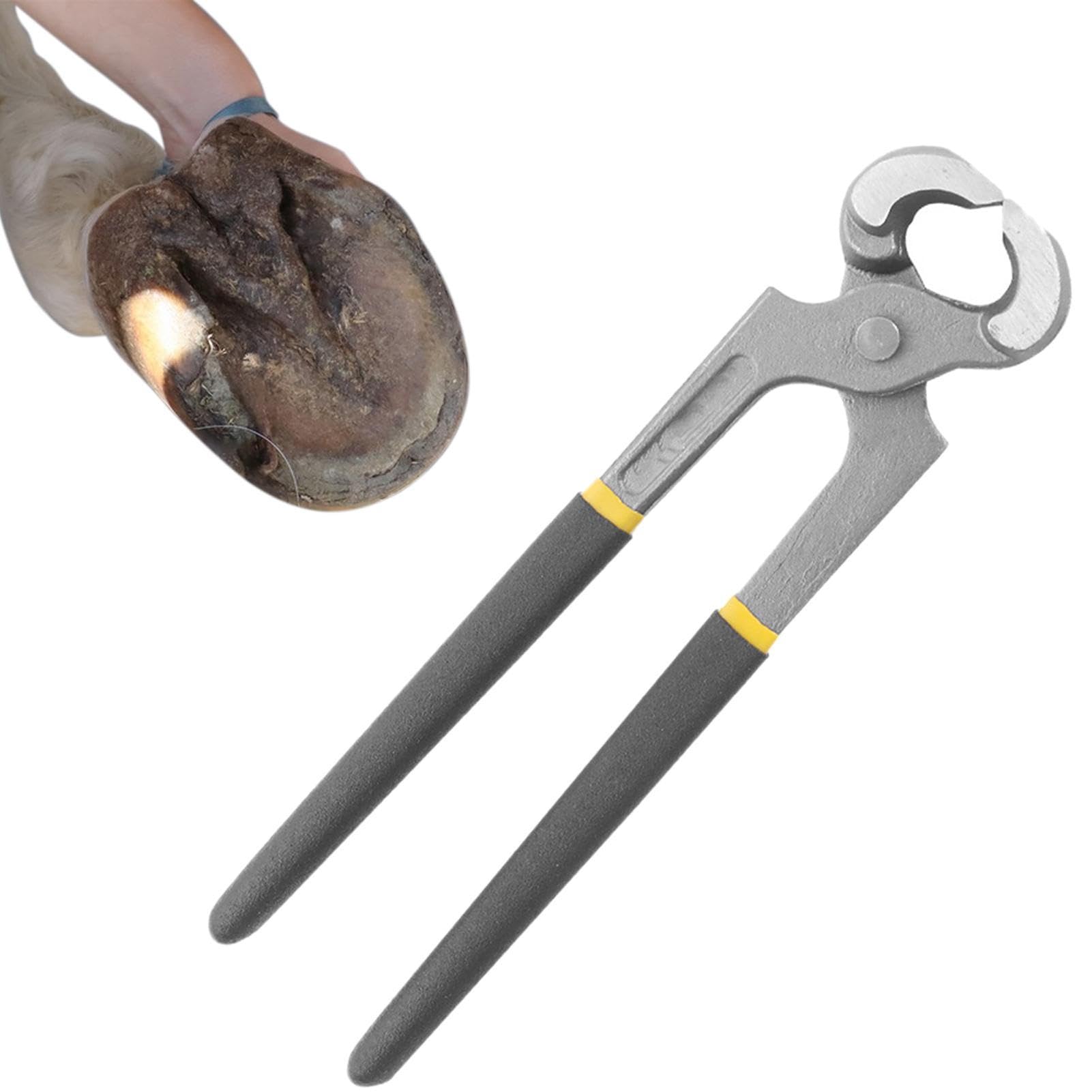 Hoof Nipper - Equine Care Hoof Nippers for Nutcracker,Ponies Vanadium Steel Farrier Tool in Dull Finish for Use As A Nutcracker