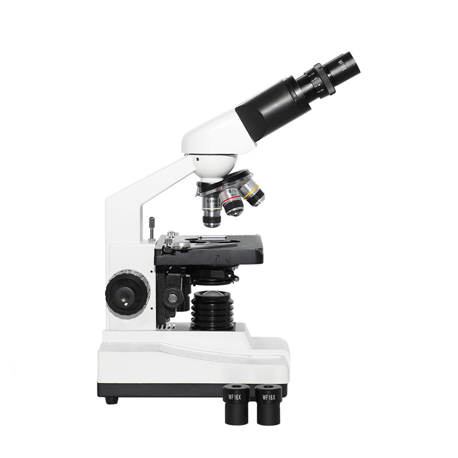Microscopio Microscopio Biologico XS-P100E Microscopio Biologico binoculare a LED per Bambini Studenti Scuola per Bambini per Laboratorio Scolastico Educazione Domestica