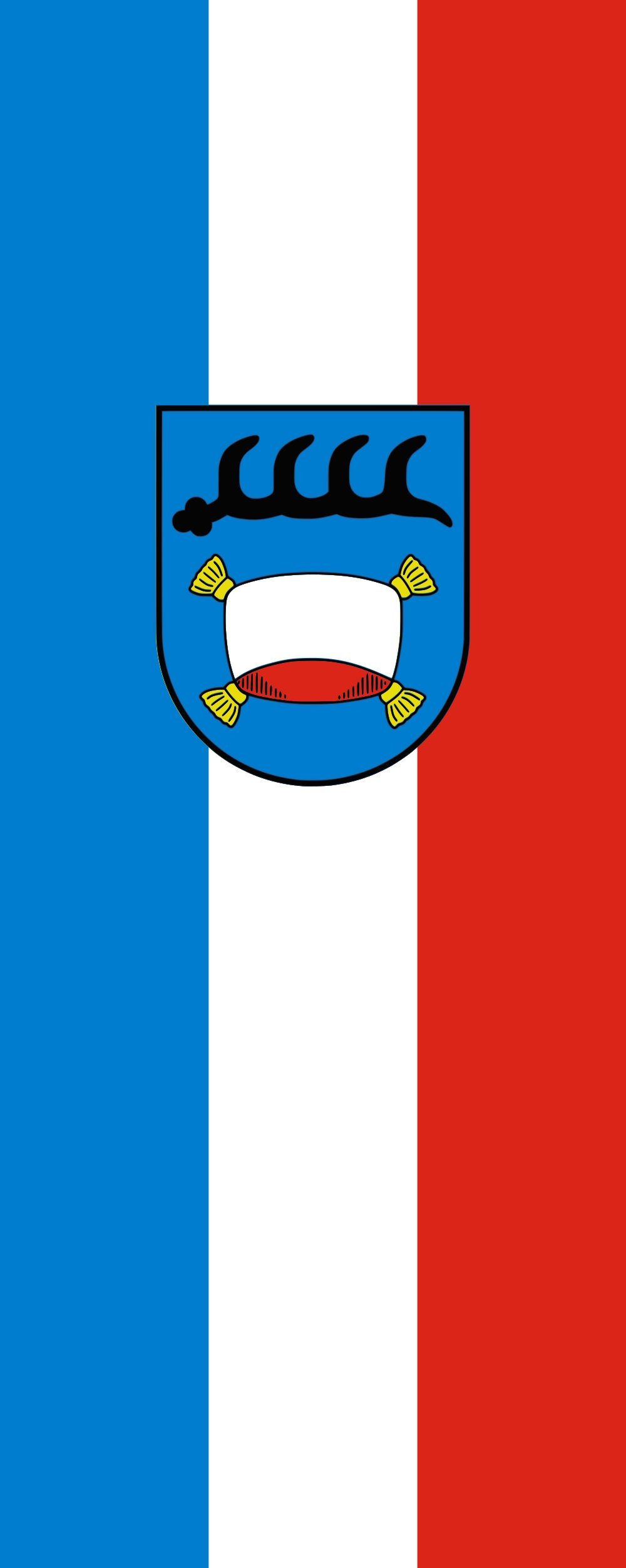 Drapeau Pfullingen anti-enroulement format portrait de 300x120cm