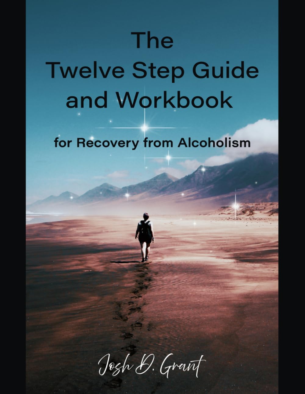 The Twelve Step Guide and Workbook: for Recovery from Alcoholism (Twelve Step Recovery - English)