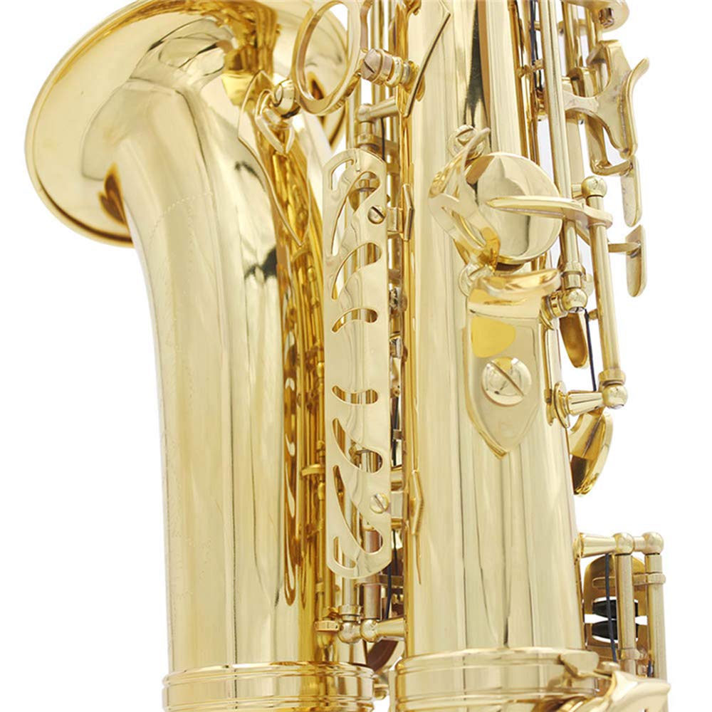 Eryue Brass EB Alto Saxophone Sax Lacquered Gold Woodwind