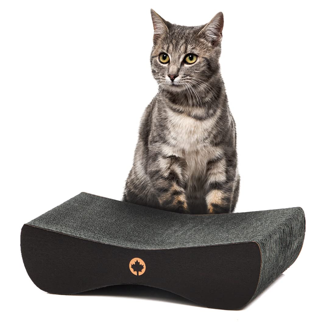 CanadianCat Company Rascador Satellite SMALL | Black Edition | Rascador para gatos en negro | Cartón rascador + hierba gatera | aprox. 37 x 10 x 23 cm