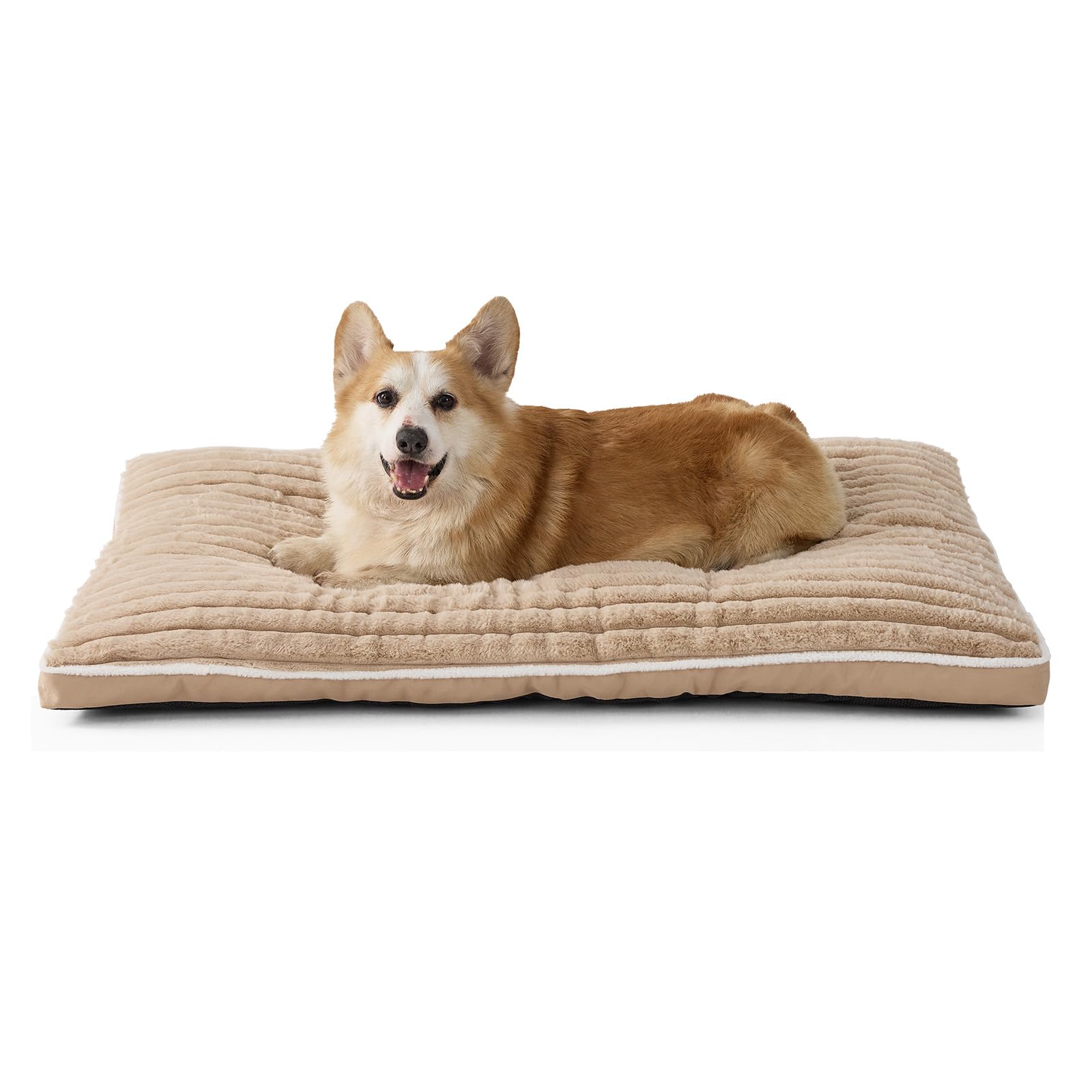 VoltaEcho Small Dog Bed: Machine-Washable Dod Bed (Beige, 75 x 50 x 7 cm)