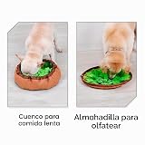 Ver la foto 2
