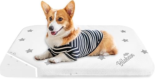 Miniatura 4 de Biloban Camas para perros pequeños, cama impermeable para perros pequeños con funda extraíble lavable, almohadilla de cama de espuma para perros
