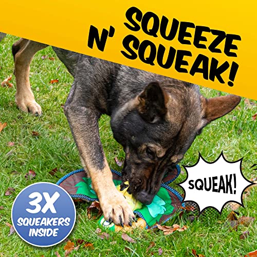 PawPride Squeaky Interactive Parrot Dog Toy with Minimal Stuffing - Image 4