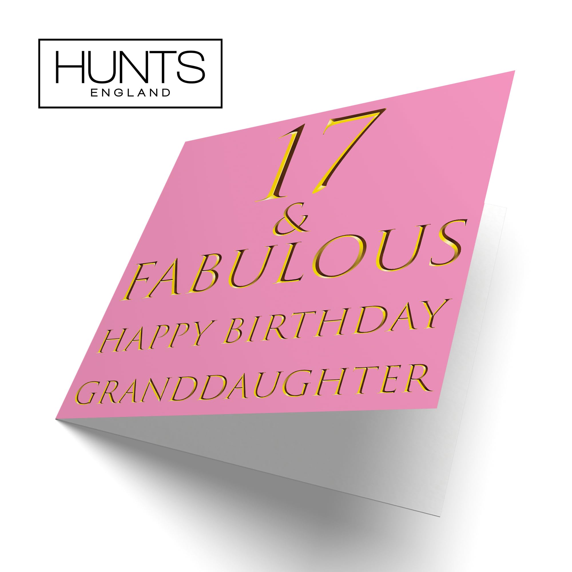 Biglietto Auguri 17° Compleanno Nipote - Hunts England - Happy Birthday Special Grandson New Driver