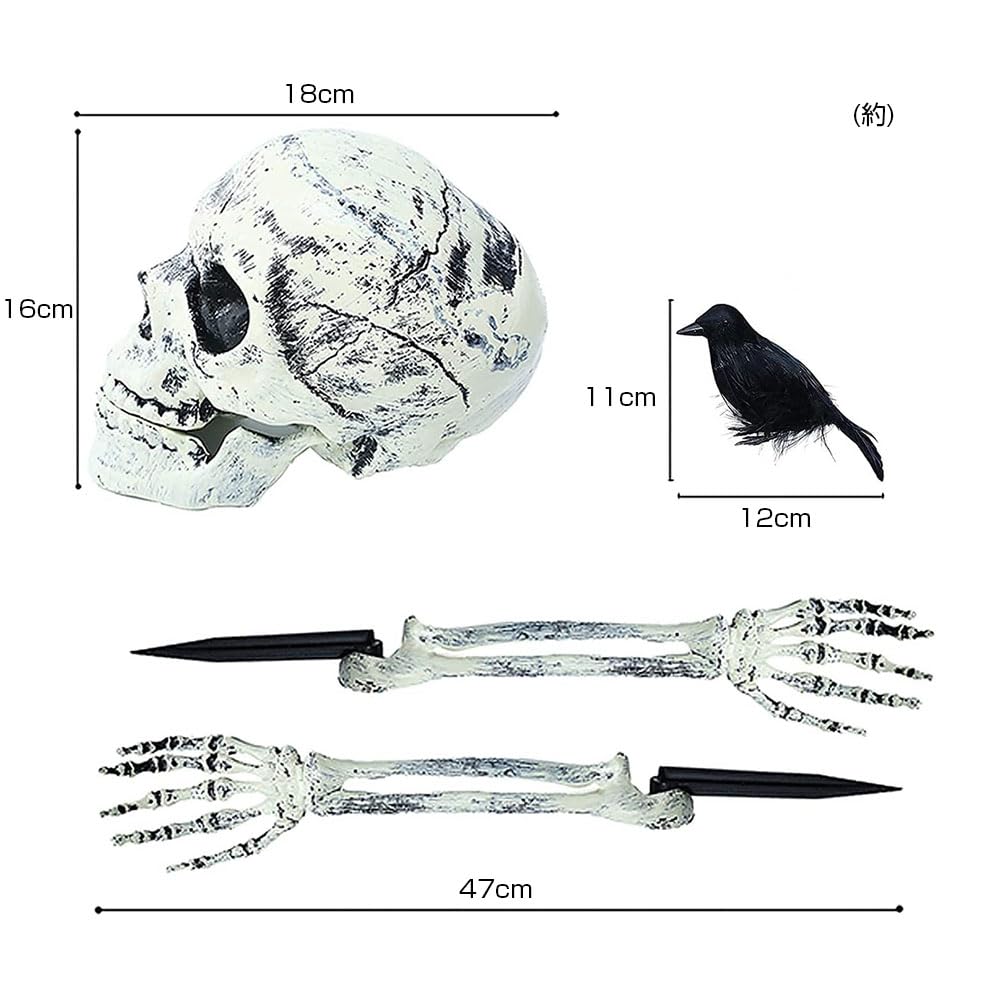 Amazon.co.jp: ism 骸骨 頭 腕 カラス 計4点セット ドクロ ガイコツ 頭