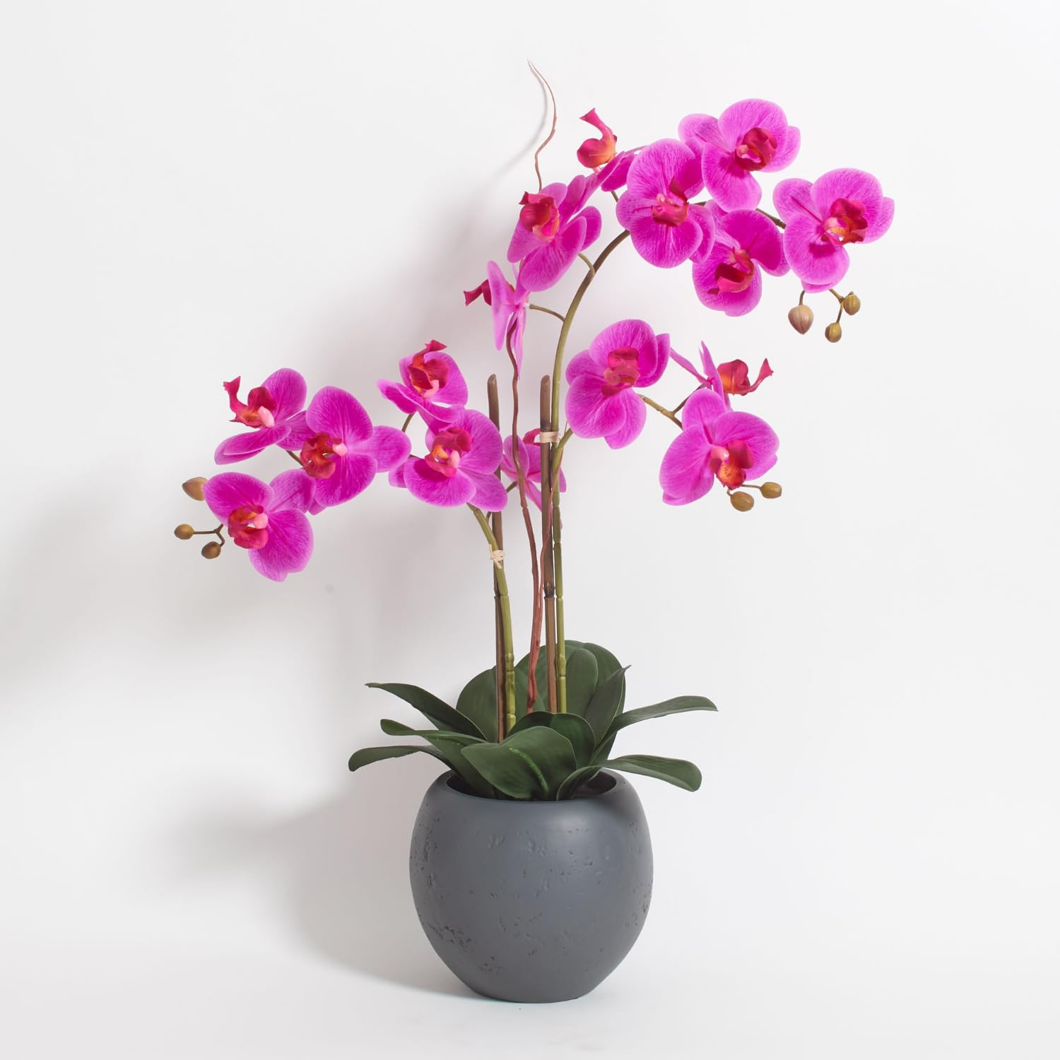 CG Hunter Planta de orquídea Rosa sintética, Soportes de exhibición de Flores Artificiales Interiores de 25 Pulgadas con Hermosas Flores escultóricas y follaje Que Dura para